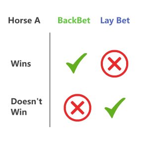 What is back bet and lay bet
