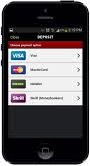 What payment methods does the Bestsafe iOS offer?