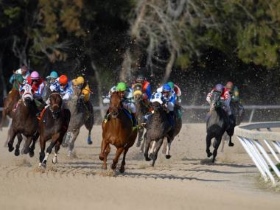 Horse races on day two of royal ascot